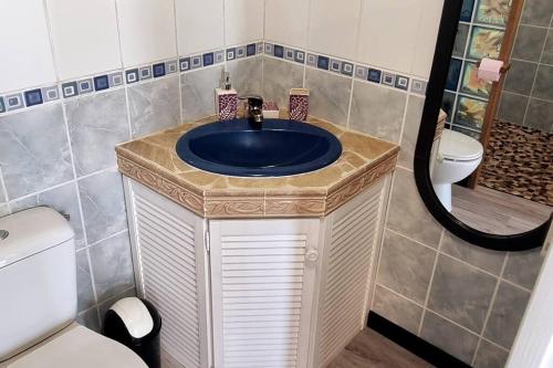 圣丹尼斯Bungalow des pensées piscine chauffée 28°的浴室配有蓝色水槽和卫生间。