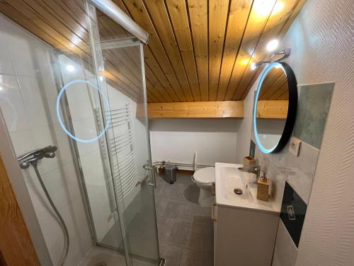 索恩河畔自由城Le Caladois的带淋浴、盥洗盆和镜子的浴室