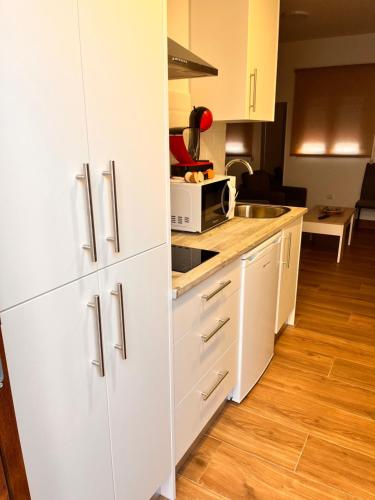 阿尔奇多纳Apartamentos El PELIGRO 2 LAHIVE的厨房配有白色橱柜和微波炉
