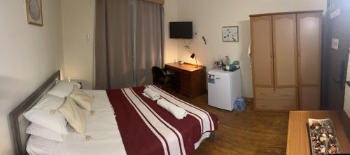 尼科西亚Xanthis Hostel Nicosia City Centre的配有一张床和一张书桌的酒店客房
