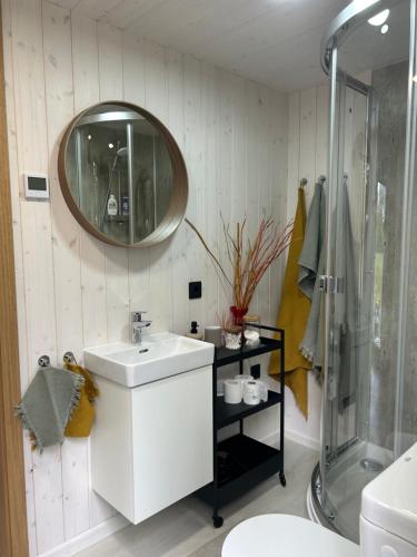 阿达兹Baltrozes的浴室设有白色水槽和镜子