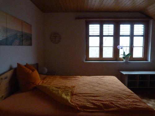 Schmerikon戈德堡住宿加早餐旅馆的一间卧室设有一张床和一个窗口