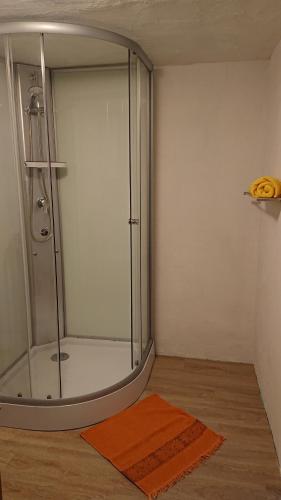 GönnernMonteur - Ferienwohnung Gönnern für 1 Person的带淋浴的浴室和玻璃门