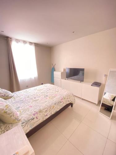 Saint-AntoineCap d ail 2 pièces proches Monaco et plage的一间卧室配有一张床和一台电视。