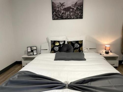 蒙特利马尔Douceur Drômoise appartement avec une chambre的卧室配有带枕头的大型白色床