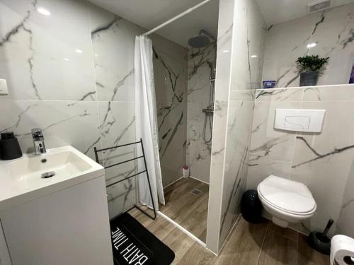 蒙特利马尔Douceur Drômoise appartement avec une chambre的浴室配有卫生间、盥洗盆和淋浴。