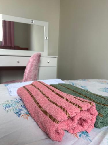 乌贝兰迪亚Apartamento ACOMODA 5 PESSOAS próximo ao Uberlândia Shopping的床上的粉红色毯子