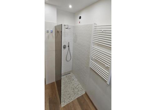 热那亚Hotel La Superba的带淋浴的浴室和玻璃门