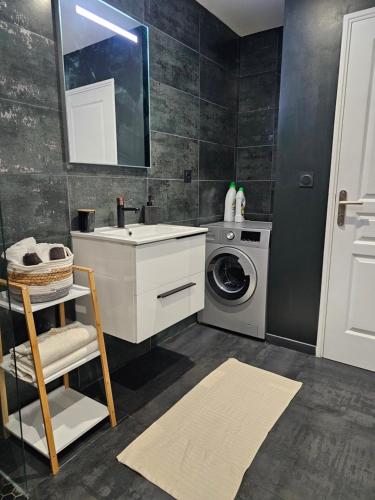 莫尔比耶Appartement T2 bis à morbier的一间带水槽和洗衣机的浴室