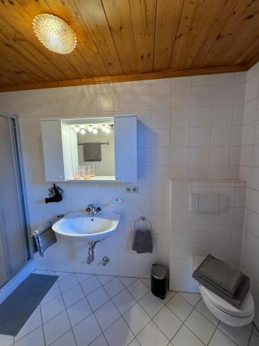 基茨比厄尔City-apart Kitzbühel Stadt的一间带水槽和卫生间的浴室