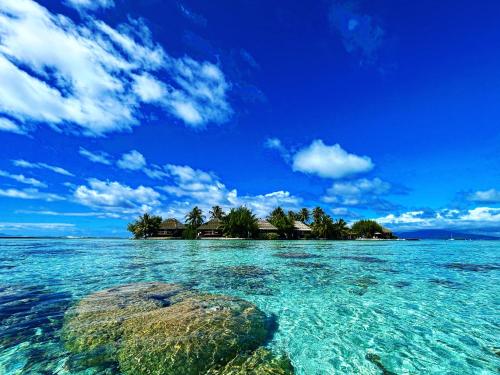 PatioEDEN Private Island TAHAA的海洋中的岛屿,水中岩石