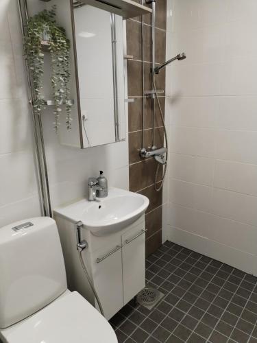 科沃拉Viihtyisä yksiö Korialla的浴室配有卫生间、盥洗盆和淋浴。