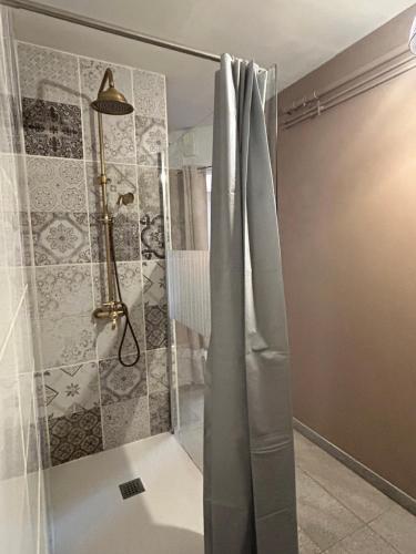 Châtillon-Saint-JeanSuite parentale 50m2的浴室内配有淋浴帘。