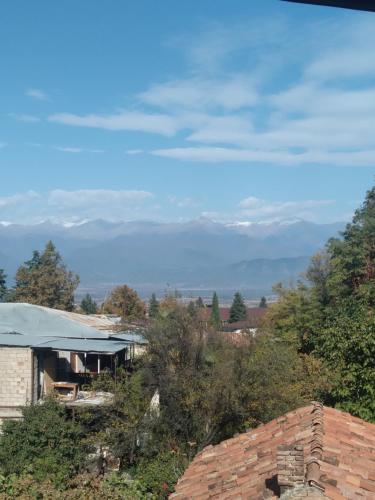 泰拉维Phudze的享有山居背景的景色