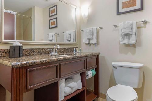 达拉斯西达拉斯科克雷尔希尔康福特套房酒店的一间带水槽、卫生间和镜子的浴室