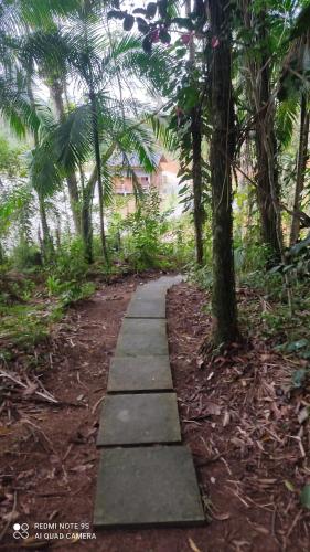 布卢梅瑙Vila Paraíso的林中树木的路径