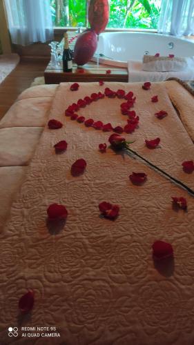 布卢梅瑙Vila Paraíso的躺在床上的一束红玫瑰