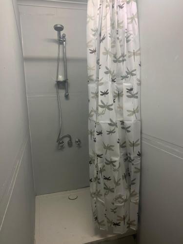 埃默拉尔德Q Lux Inn Emerald的浴室里配有鸟儿淋浴帘