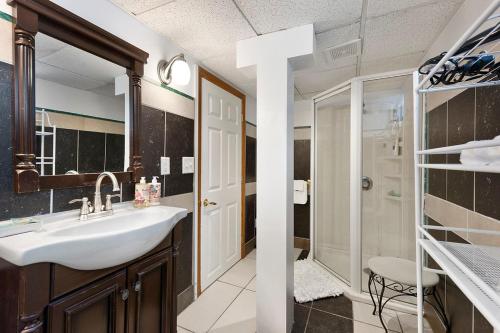 明尼阿波利斯AMAZING TRADITIONAL HOME SOUTH MINNEAPOLIS的一间带水槽和淋浴的浴室