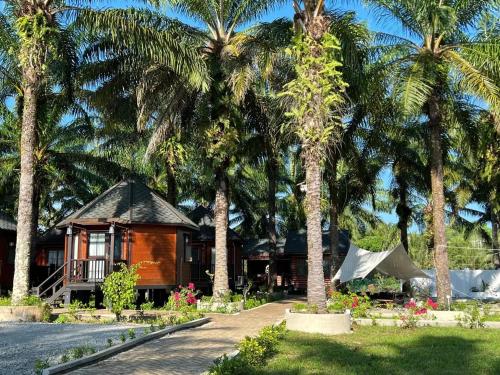 仙本那OPINE VILLAS/菠萝的海.度假别墅的前面有棕榈树的房子