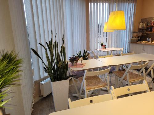 OsielskoPro Bed & Breakfast的一间设有白色桌椅的餐厅,种植了植物