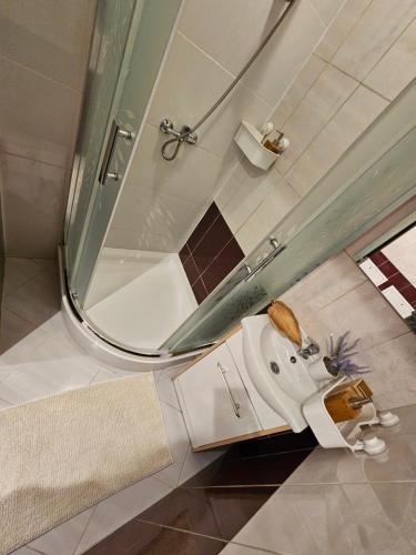 JaworzniaChelosiowy Apartament的一间带水槽和淋浴的浴室