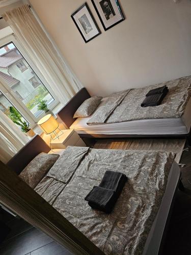 JaworzniaChelosiowy Apartament的卧室设有两张床,带窗户