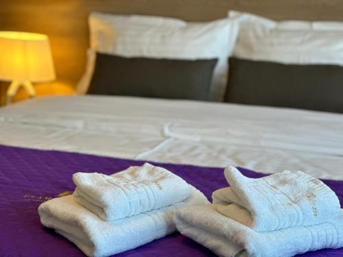 布拉索夫Luxury Glam Apartments & Studios near Coresi Mall的床上的两张折叠毛巾