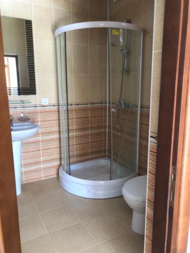巴库ART inn hotel的带淋浴、卫生间和盥洗盆的浴室