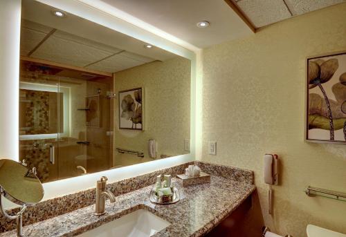 兰开斯特伊甸园度假村及套房BW精选酒店的一间带水槽和大镜子的浴室