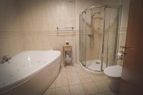 ToomeO'Neill Arms Hotel的带浴缸、淋浴和卫生间的浴室