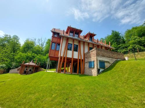 BárdudvarnokVendégház Petörke的坐在草山顶上的房子