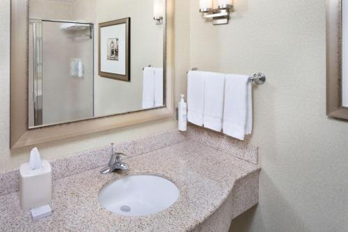 迈阿密迈阿密机场西希尔顿花园酒店的一间带水槽和镜子的浴室