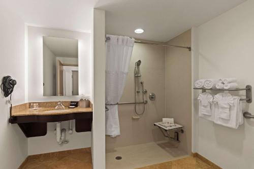 维洛海滩Comfort Suites Vero Beach I-95的带淋浴和盥洗盆的浴室