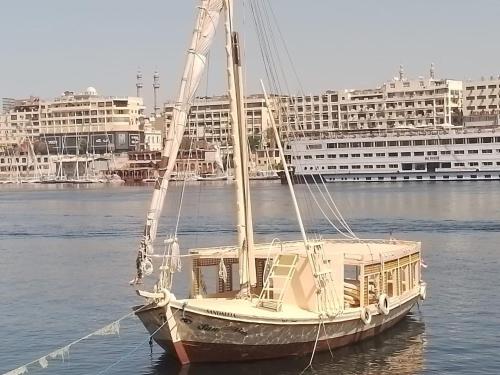 阿斯旺Nile Felucca Adventure的水中帆船,有建筑背景