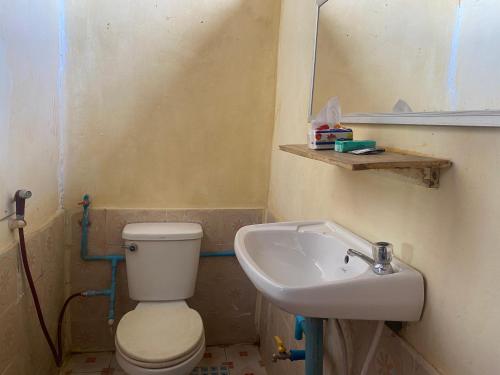 Ban DonsômSouksanh Guesthouse的一间带卫生间和水槽的浴室
