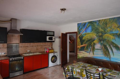 蒙特格兰德Hostel Aeropuerto Ezeiza的厨房配有红色橱柜,墙上挂着棕榈树画
