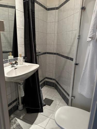 斯德哥尔摩Gamla Stan的一间带水槽和淋浴的浴室