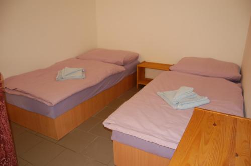 Ubytování U Vítů的配有粉红色和紫色床单的客房内的两张床
