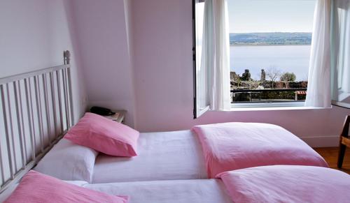 Salvatierra de Tormes萨尔瓦乡村酒店的窗户客房内的一张带粉红色枕头的沙发