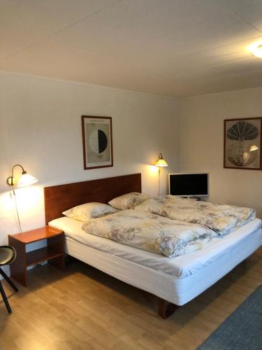 BørglumBørglum Mejeri Hotel的一间带大床和电视的卧室