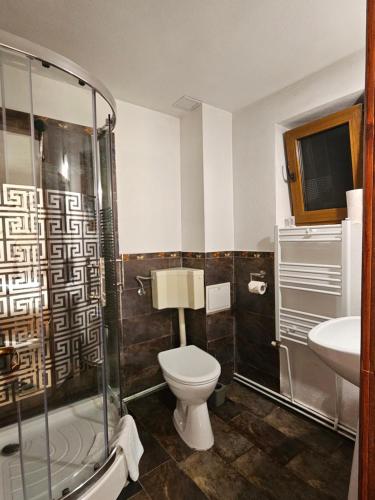 布朗潘苏妮儿卡萨高博尔旅馆的浴室配有卫生间、盥洗盆和淋浴。