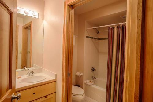 德里格斯1 Br Condo in Teton Creek Resort - Bannock 111的一间带水槽、卫生间和淋浴的浴室