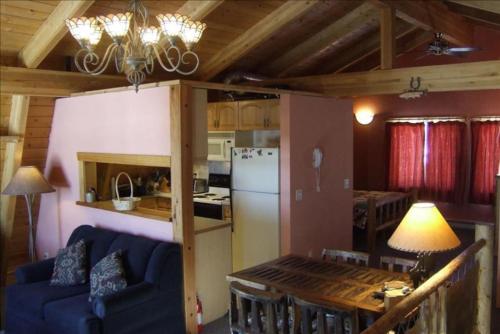 德里格斯Pet Friendly Darby Barn in Teton Valley的一间带蓝色沙发的客厅和一间厨房
