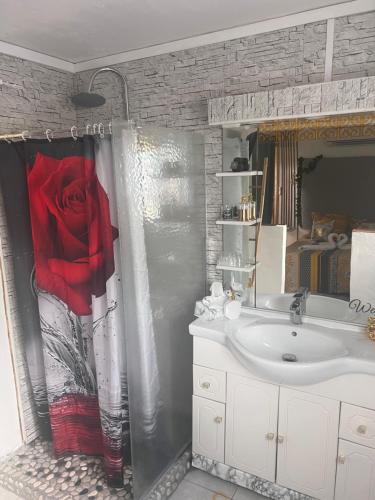 巴斯特尔La suite parentale的浴室设有水槽,淋浴里装饰着红色玫瑰