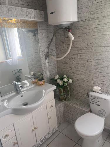 巴斯特尔La suite parentale的浴室配有白色水槽和卫生间。