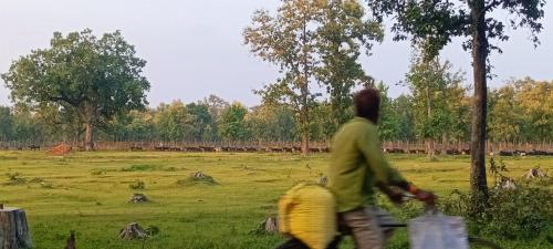 克久拉霍Namaste Homestay的一个人在田野骑着自行车