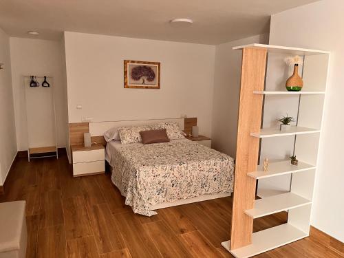 阿尔奇多纳Apartamentos EL PELIGRO 4 EL CIBANCO的一间卧室设有一张床和一个书架