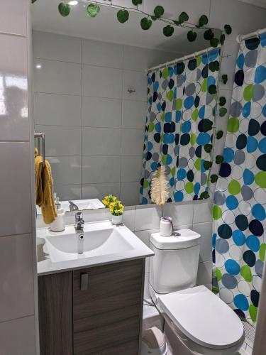 圣地亚哥Habitación amplia en Santiago c3ntro的一间带水槽、卫生间和淋浴的浴室