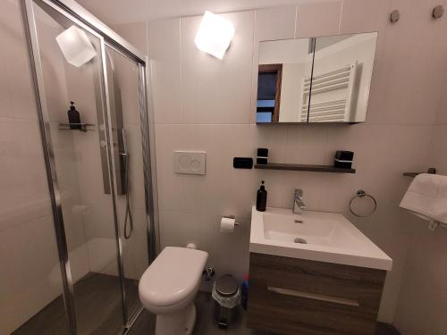 夏蒙尼-勃朗峰4-star apartments in Chamonix centre with free private parking的浴室配有卫生间、盥洗盆和淋浴。